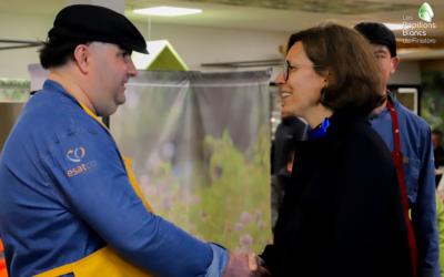 Visite ministérielle au Balafenn